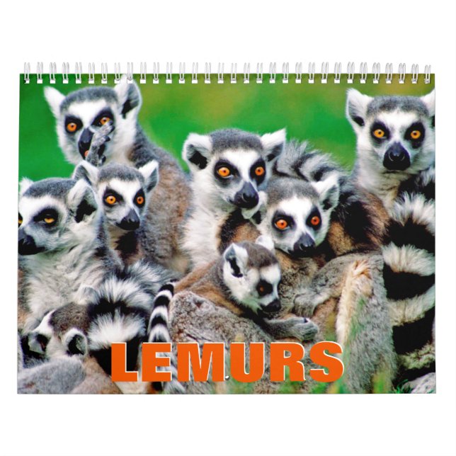 Lemurs Wall Calendar (Cover)