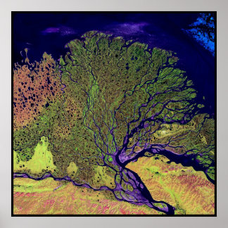Lena Delta Russia Poster
