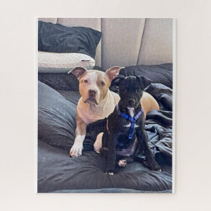 lenguaje animal jigsaw puzzle