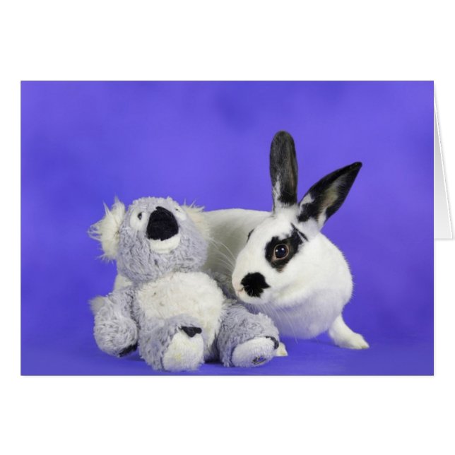 Lenox (Front Horizontal)