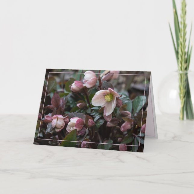 Lenten Rose For Mother Card (Front)