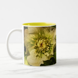Lenten Rose Hellebore Two-Tone Coffee Mug