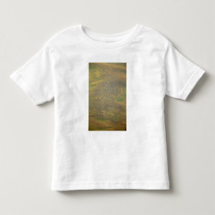 Lentil peas windrowed and awaiting harvest in toddler T-Shirt