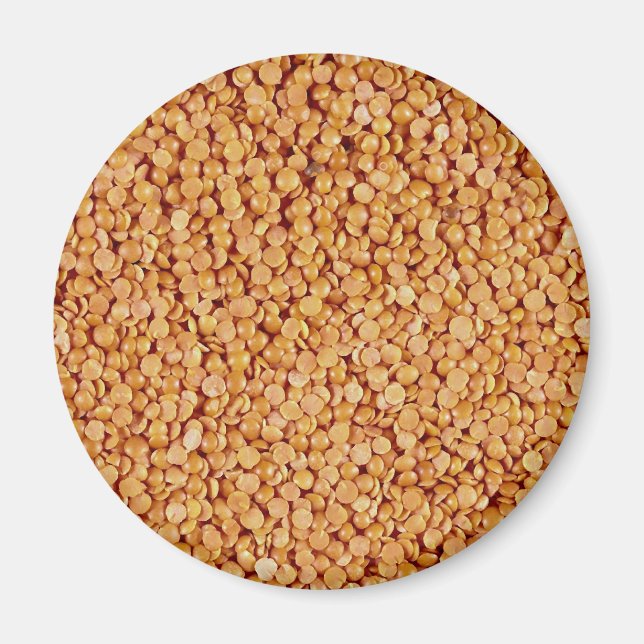 Lentils Photo Magnet (Front)
