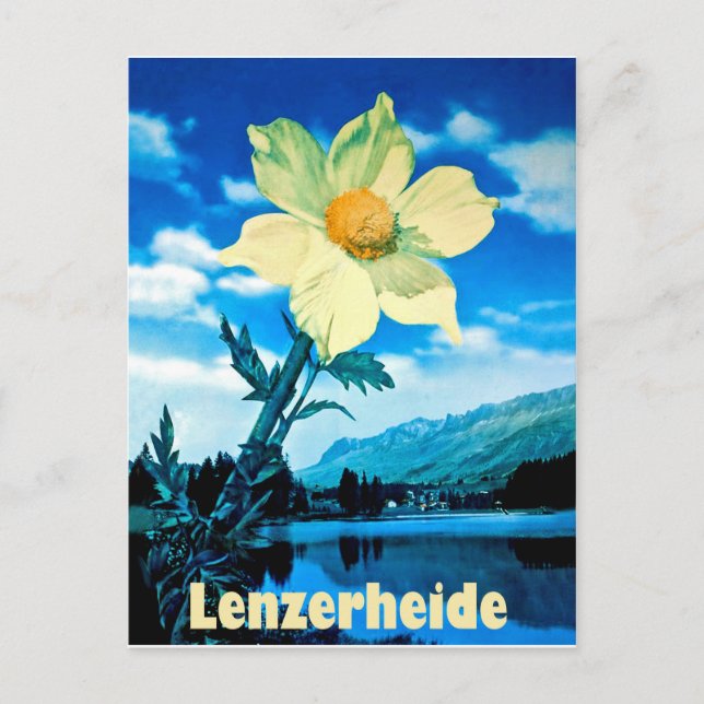 Lenzerheide, Switzerland, summer flower on lake Postcard (Front)