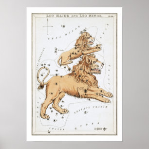 Leo Astrology Zodiac Poster