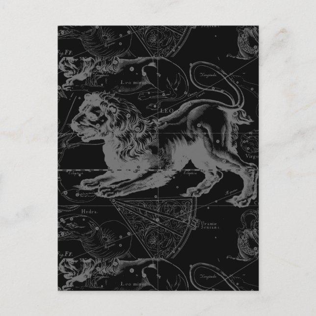 Leo Constellation Hevelius 1690 Decor Postcard (Front)