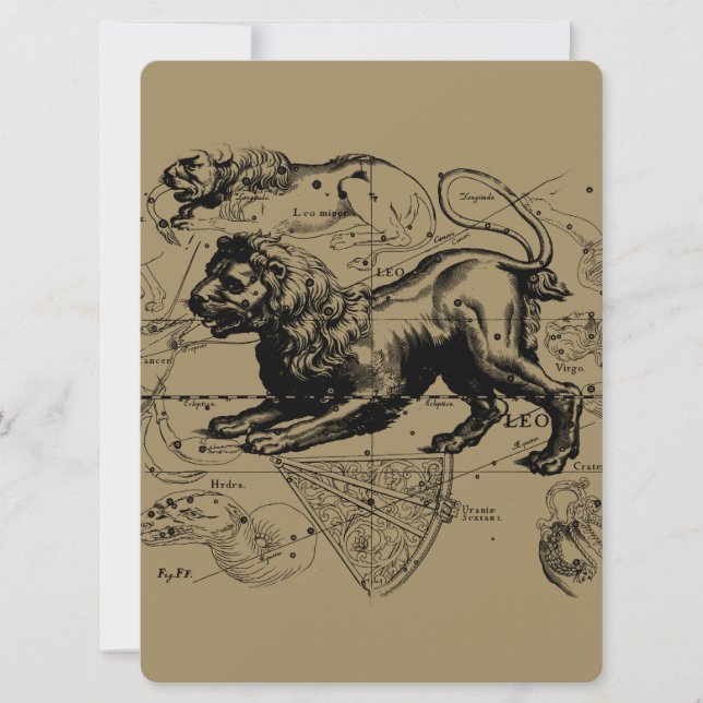 Leo Constellation Hevelius 1690 July23 - August 22 (Front)