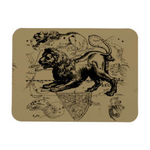 Leo Constellation Hevelius 1690 July 23 August 22 Magnet