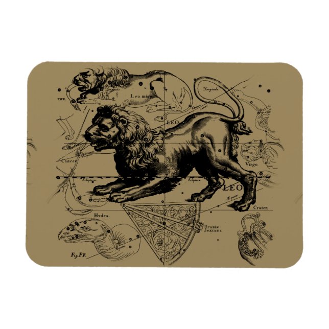 Leo Constellation Hevelius 1690 July 23  August 22 Magnet (Horizontal)