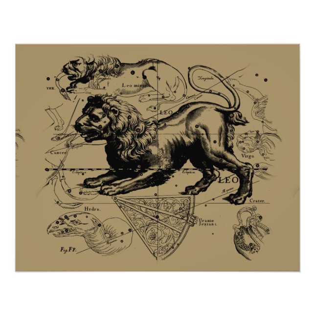 Leo Constellation Hevelius 1690 July 23  August 22 Photo Print (Front)