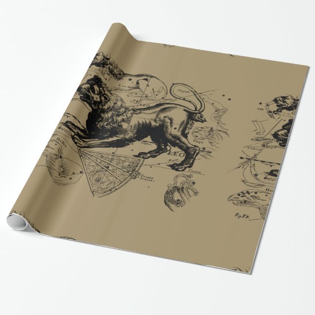 Leo Constellation Map Hevelius 1690 on Taupe Wrapping Paper (Unrolled)