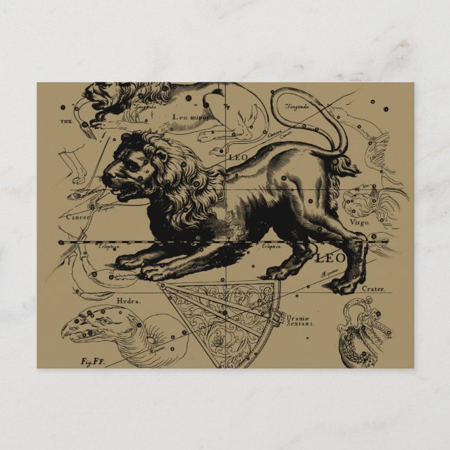 Leo Constellation Map Hevelius circa 1690 Postcard (Front)