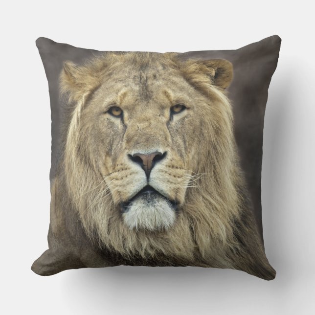 Leo Pillow (Front)