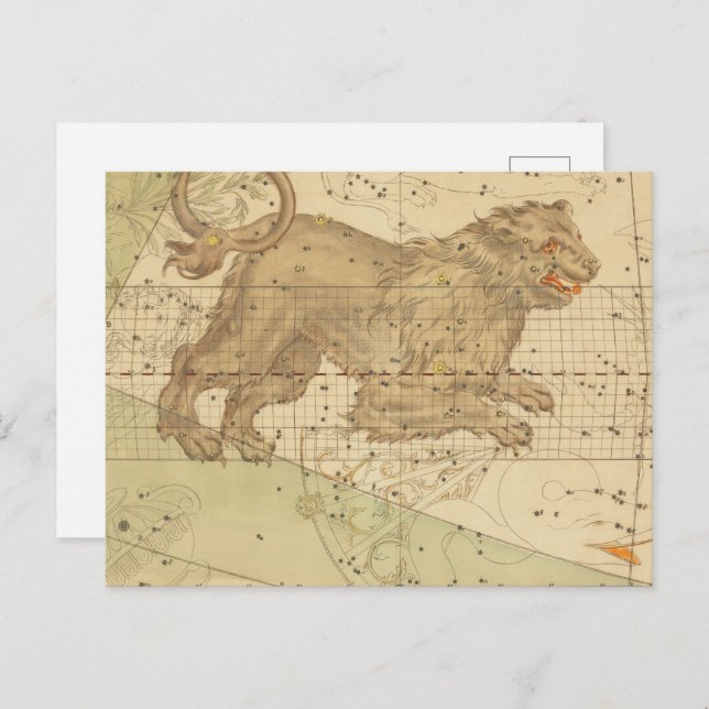  Leo star sign restored antique map Postcard (Front/Back)