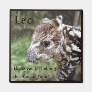 Leo the Andean Tapir Magnet