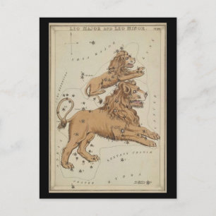 Leo the Lion Postcard