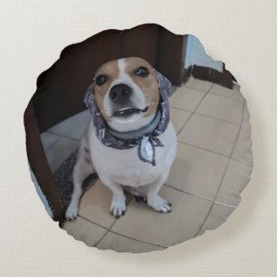 Leo the sweet and friendly jack russell round cushion