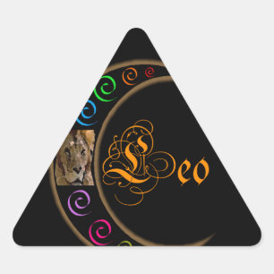 Leo Triangle Sticker