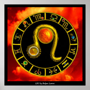 LEO Zodiac Signs Astrology Chart