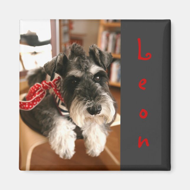 Leon magnets B (Front)
