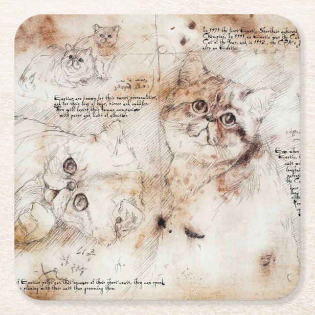 Leonardo da Vinci Cat Sketch Coaster (Front)