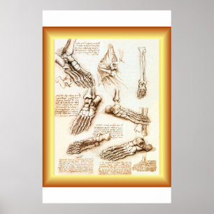 Leonardo da Vinci ~ Foot Anatomy ~ 40 X 60 LARGE Poster
