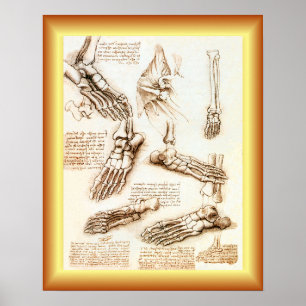 Leonardo da Vinci ~ Foot Anatomy ~ Poster