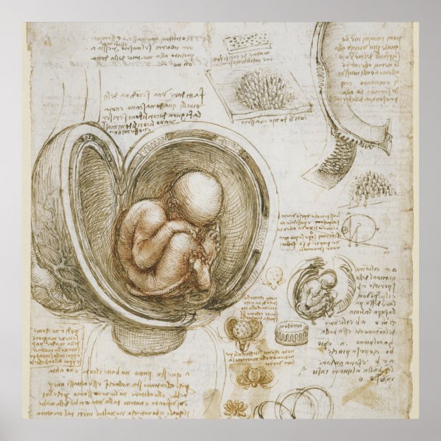 Leonardo da Vinci Poster (Front)