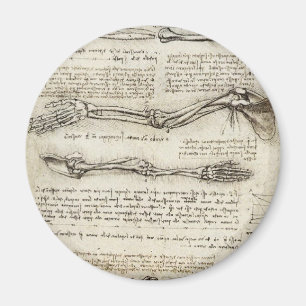 Leonardo da Vinci - Studies of the Arm Artwork Magnet