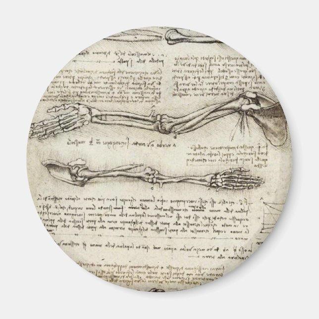 Leonardo da Vinci - Studies of the Arm Artwork Magnet (Front)