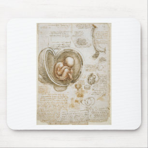 Leonardo da Vinci Studies of the Foetus in the Mouse Pad