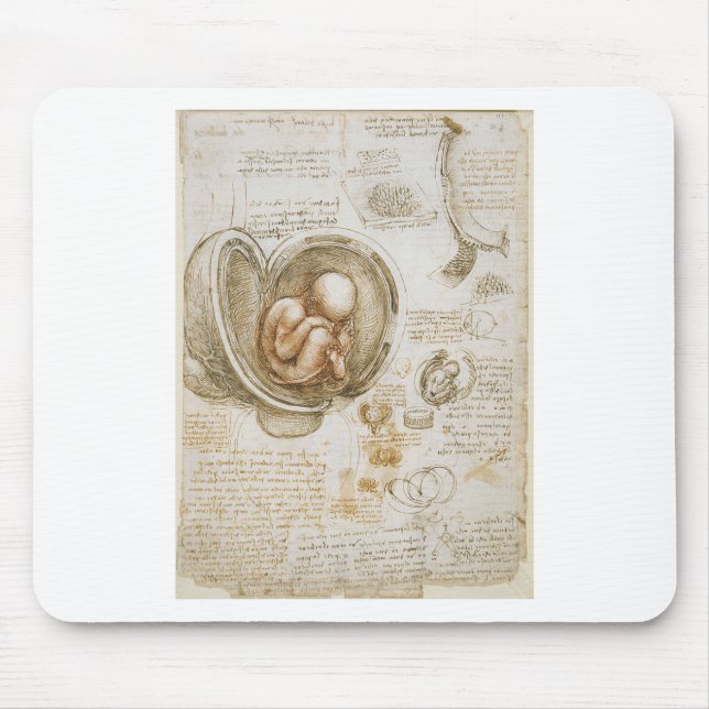 Leonardo da Vinci Studies of the Foetus in the Mouse Pad (Front)