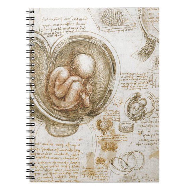 Leonardo da Vinci Studies of the Foetus in the Notebook (Front)