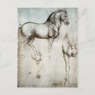 Leonardo da Vinci - Study of a Horse Postcard