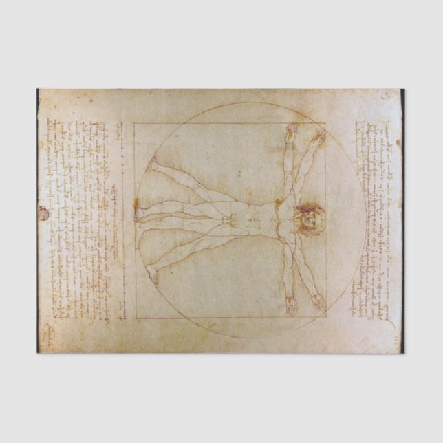 Leonardo Da Vinci, The Vitruvian Man,Renaissance Tissue Paper (Front)