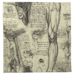 Leonardo da Vinci Vintage Human Anatomy Larynx Leg Napkin