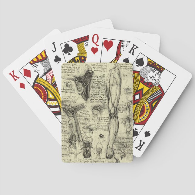 Leonardo da Vinci Vintage Human Anatomy Larynx Leg Playing Cards (Back)
