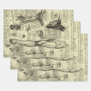 Leonardo da Vinci Vintage Human Anatomy Larynx Leg Wrapping Paper Sheet