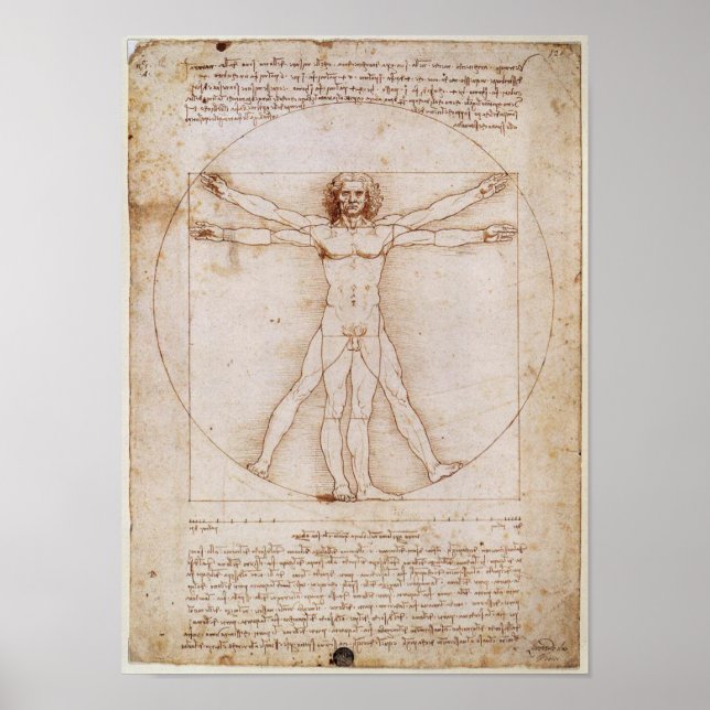Leonardo da Vinci Vitruvian Man Poster (Front)