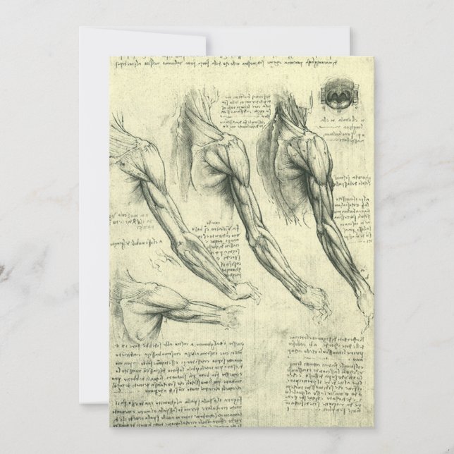 Leonardo da Vinci's Arm and Shoulder Anatomy (Front)