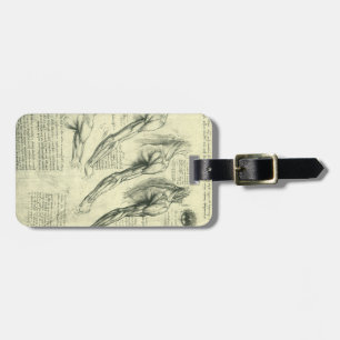Leonardo da Vinci's Arm and Shoulder Anatomy Luggage Tag