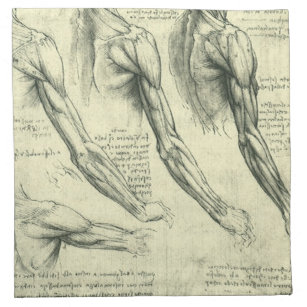Leonardo da Vinci's Arm and Shoulder Anatomy Napkin