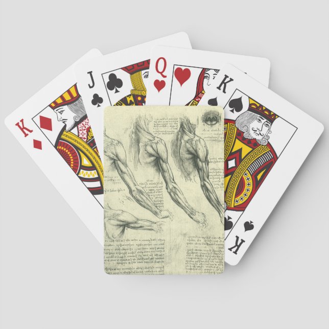 Leonardo da Vinci's Arm and Shoulder Anatomy Playing Cards (Back)