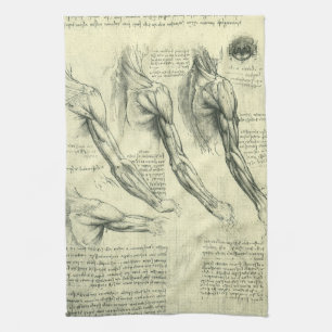 Leonardo da Vinci's Arm and Shoulder Anatomy Tea Towel