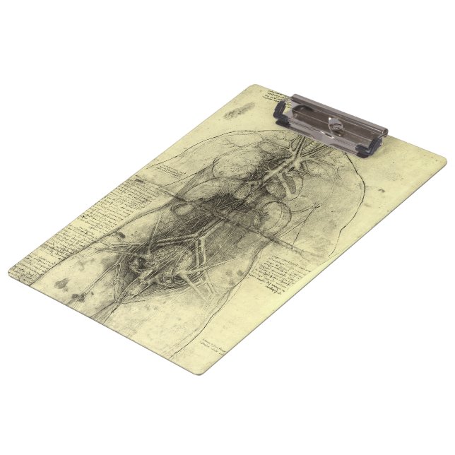 Leonardo da Vinci's Human Anatomy, Female Torso Clipboard (Angled)