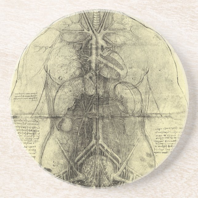 Leonardo da Vinci's Human Anatomy, Female Torso Coaster (Front)