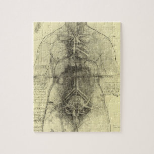 Leonardo da Vinci's Human Anatomy, Female Torso Jigsaw Puzzle
