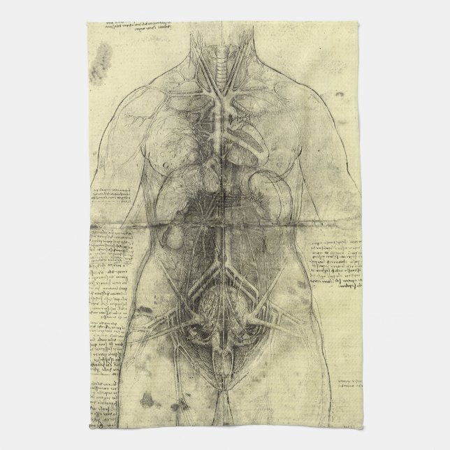 Leonardo da Vinci's Human Anatomy, Female Torso Tea Towel (Vertical)