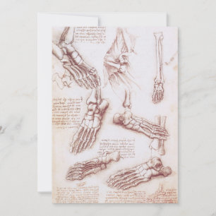 Leonardo da Vinci's Human Anatomy Foot Bones